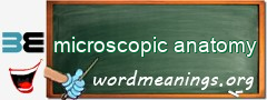 WordMeaning blackboard for microscopic anatomy